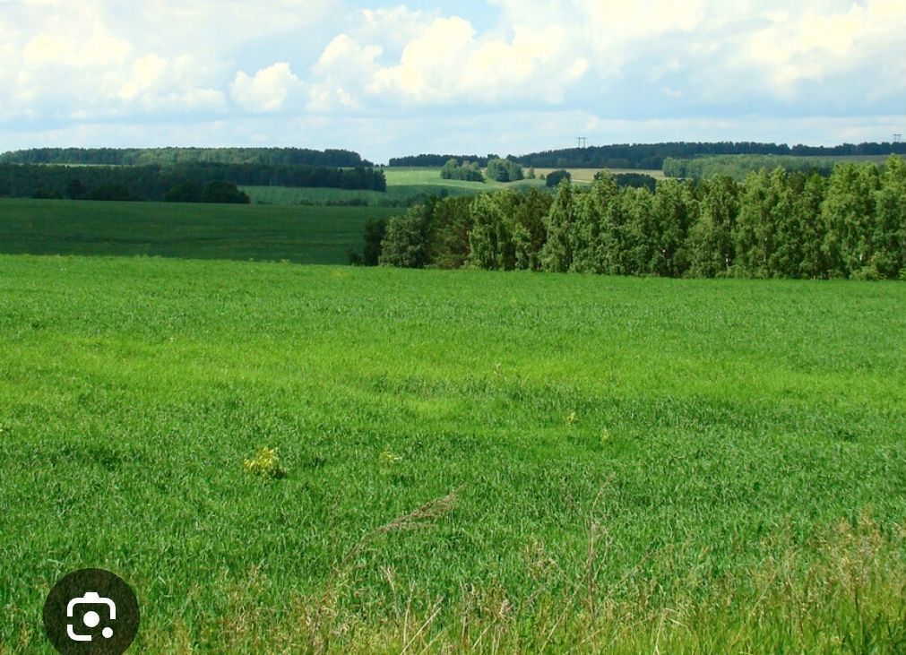 земля г Оренбург р-н Ленинский дачный массив Ростоши-3, ул. Роз фото 1