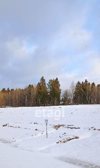 земля г Добрянка д Залесная фото 2