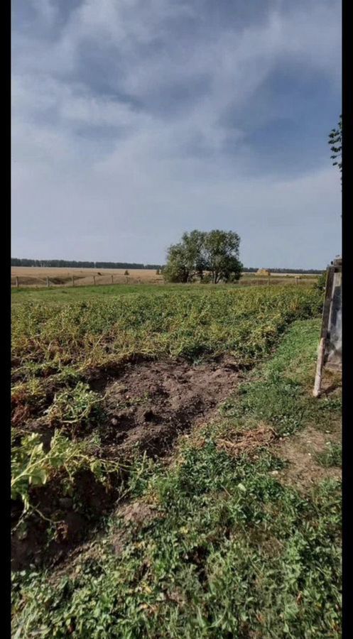 дом р-н Арский д Старый Кинер Республика Татарстан Татарстан, Ташкичинское сельское поселение, ул. Габдуллы Тукая, Большая Атня фото 18