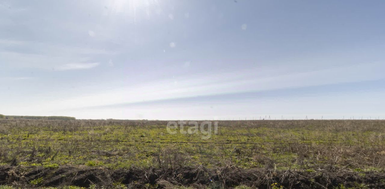 земля р-н Тюменский д Большие Акияры ул Новая фото 13