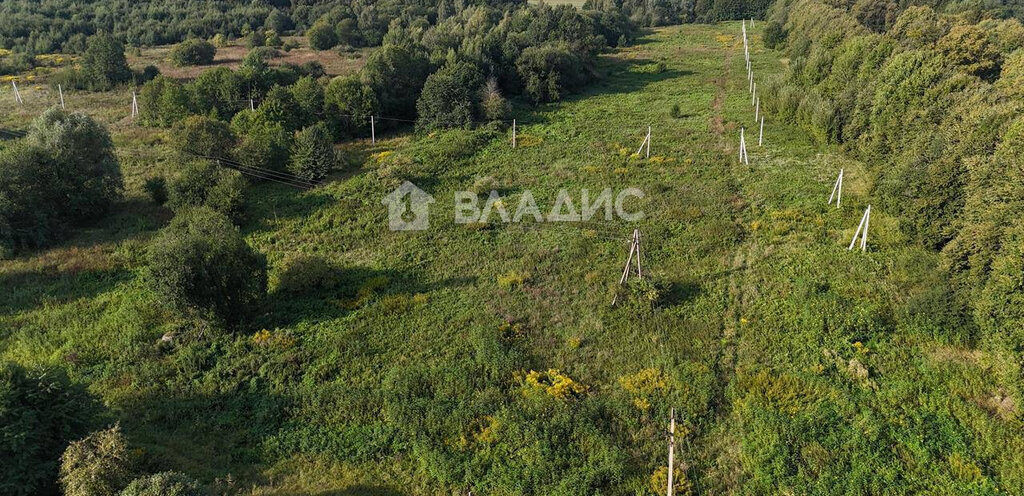 земля р-н Багратионовский п Пятидорожное ул Победы 1 фото 8