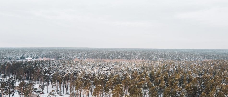 квартира г Новосибирск метро Площадь Гарина-Михайловского ул Сухарная 96/3 фото 18