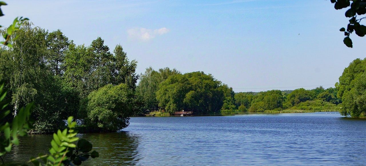 земля городской округ Раменский Великие Озера кп, аллея Победы, Павелецкая фото 3