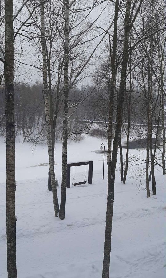 квартира р-н Лужский г Луга ул Кингисеппа 1 Лужское городское поселение фото 15