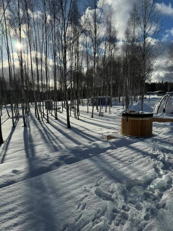 гостиницу городской округ Серпухов д Верхнее Шахлово д. 140, ул. Венский Лес фото 6