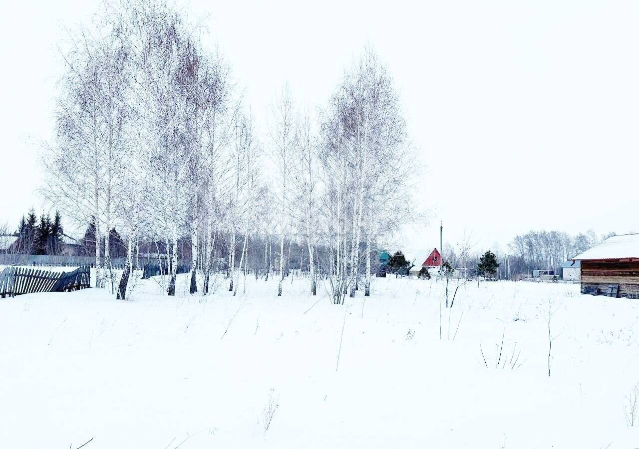 земля р-н Новосибирский с Боровое ул Лунная Боровской сельсовет, Верх-Тула фото 3