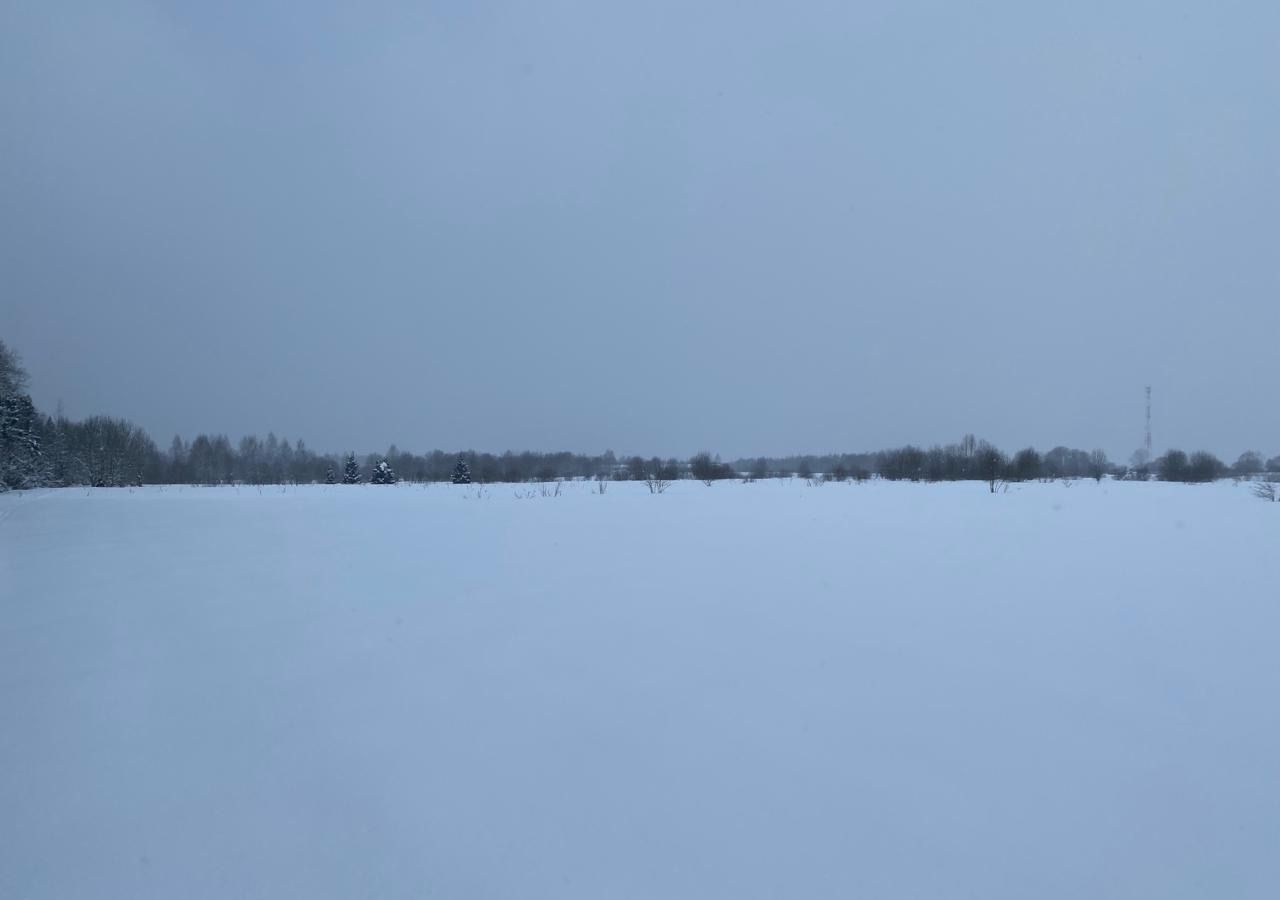 земля городской округ Одинцовский д Торхово 44 км, Звенигород, Минское шоссе фото 4