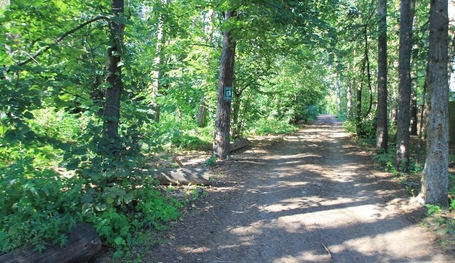 дом г Красногорск Павшино 13, садовое товарищество Здоровье фото 19