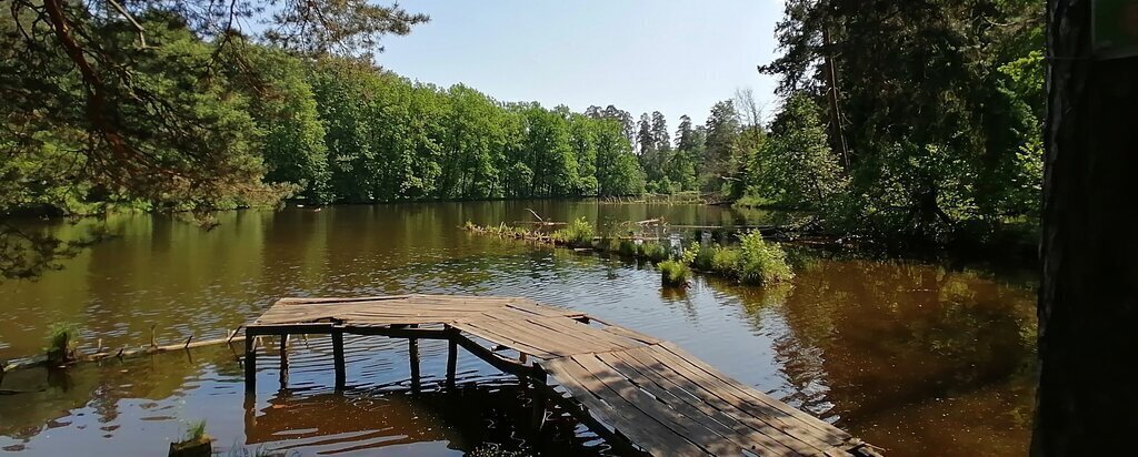 дом г Красногорск Павшино 13, садовое товарищество Здоровье фото 23