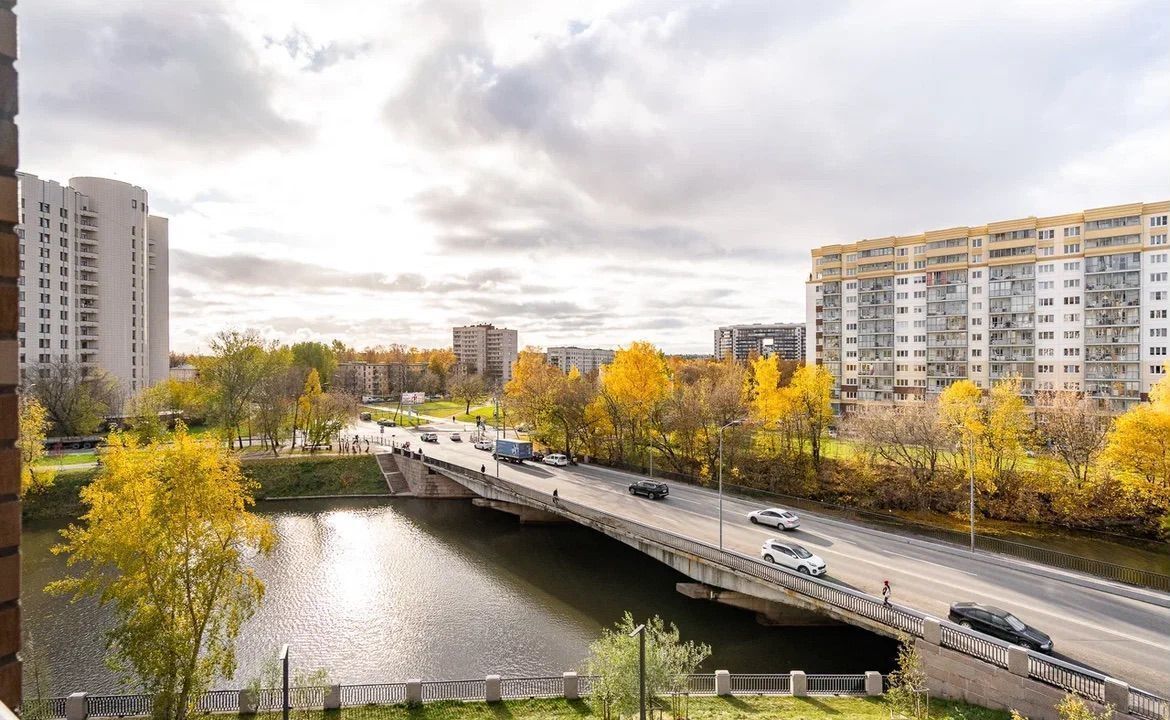 квартира г Санкт-Петербург метро Новочеркасская пр-кт Шаумяна 14 фото 19