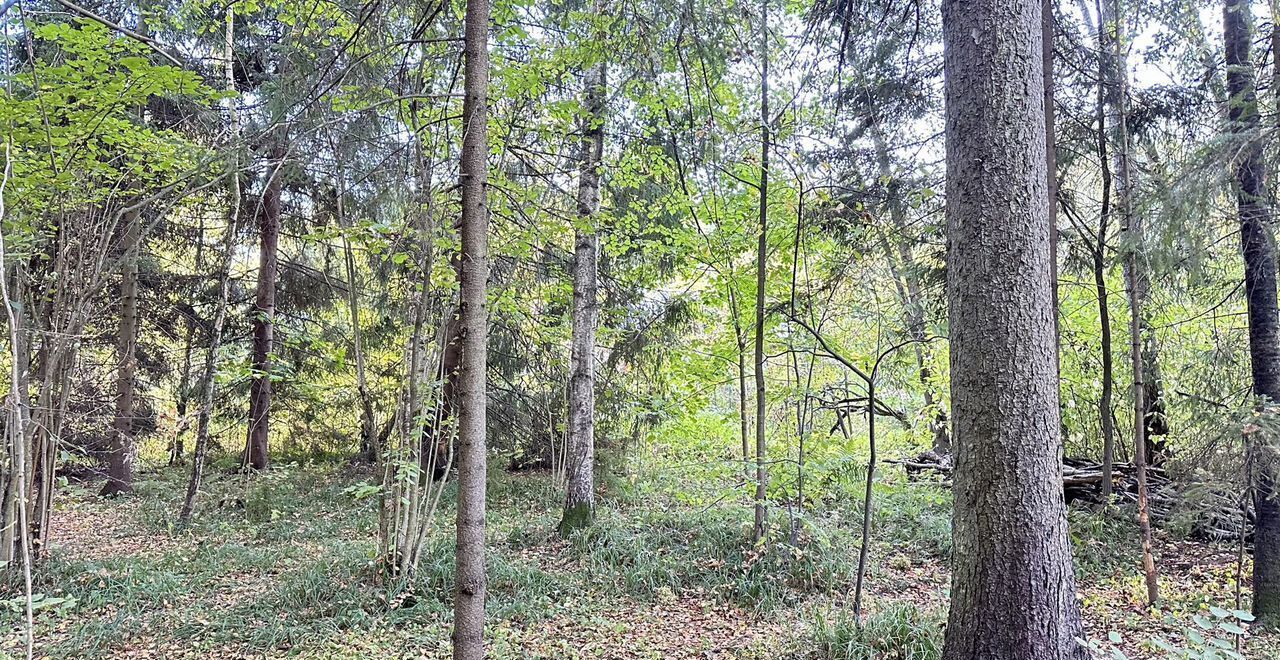 земля городской округ Сергиево-Посадский г Хотьково 40 км, с. Абрамцево, Ярославское шоссе фото 1