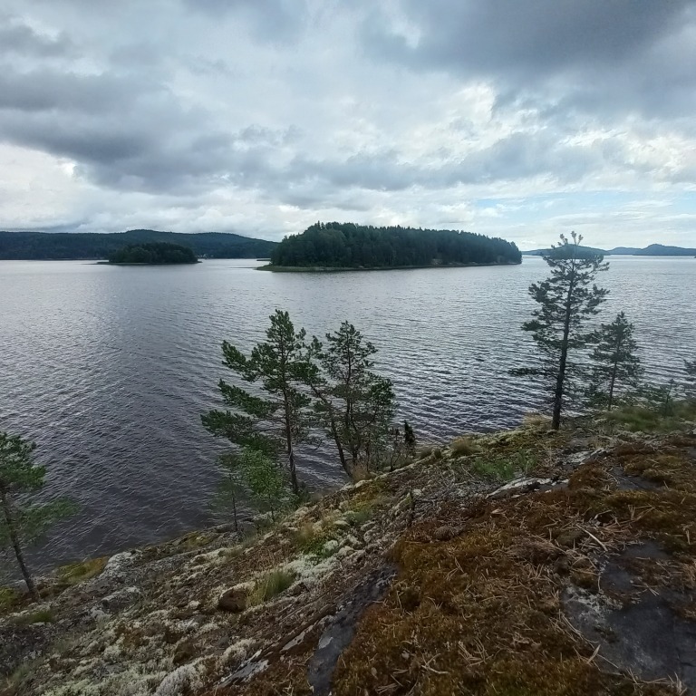 гостиницу г Сортавала пгт Хелюля Сортавальское городское поселение фото 10