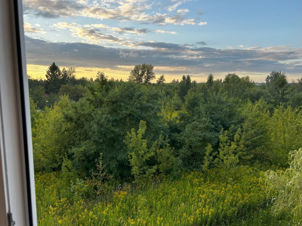 квартира р-н Хвойнинский д Орёл Советский район, Наугорское шоссе, 94 фото 14