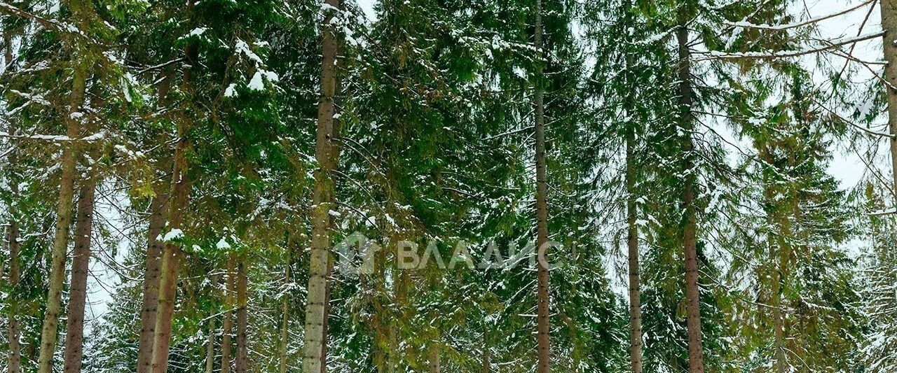 земля городской округ Клин п Раздолье ул Овражная фото 2