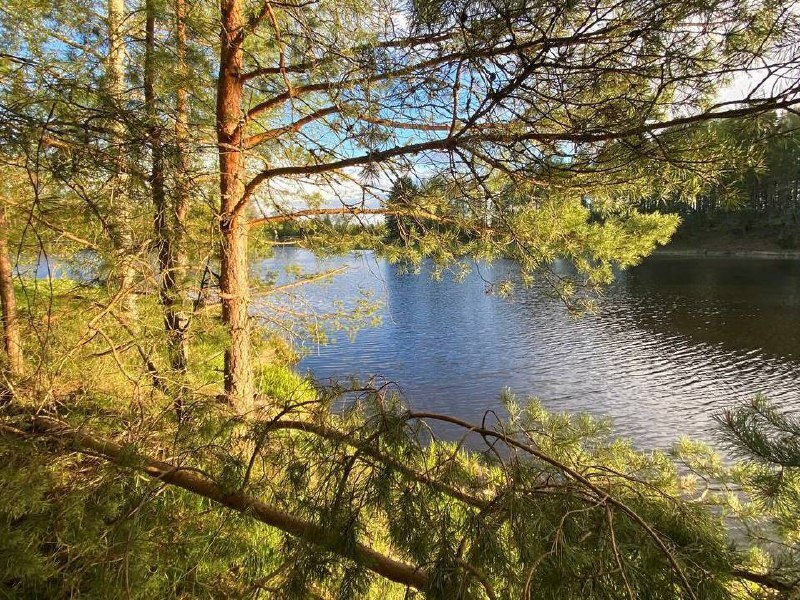 гостиницу городской округ Пушкинский д Василёво д. 29, улица Васильковая фото 21