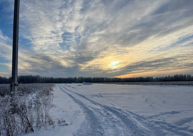 Горьковское муниципальное образование, Тюмень фото