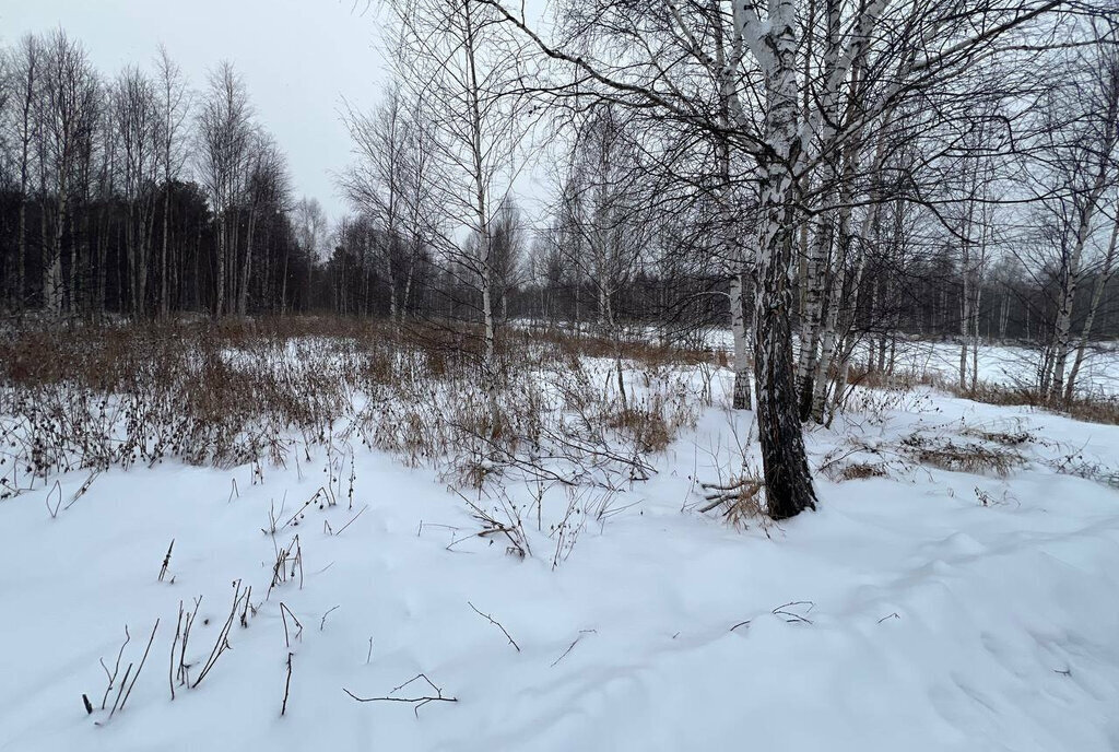 земля г Верхняя Пышма садоводческое некоммерческое товарищество Долина фото 5