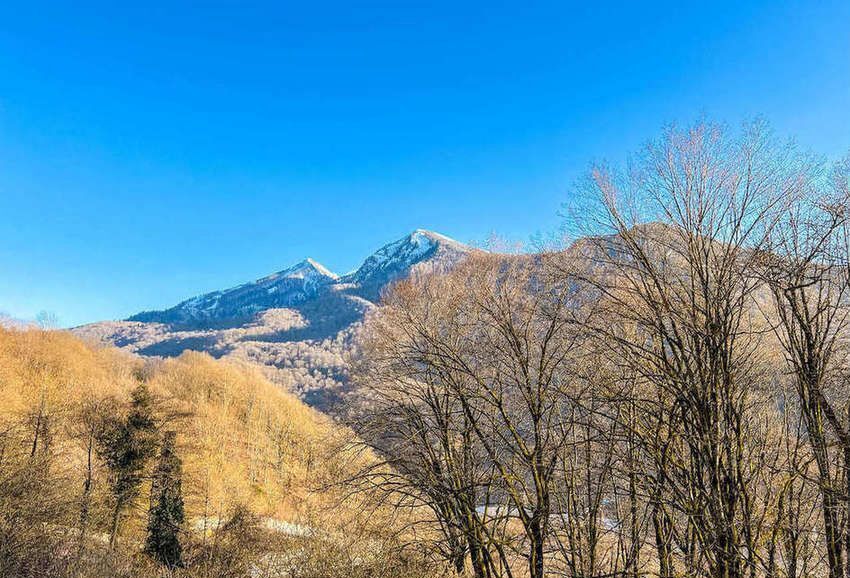 дом г Сочи р-н Адлерский пгт Красная Поляна Светлая ул., 21/4 фото 8