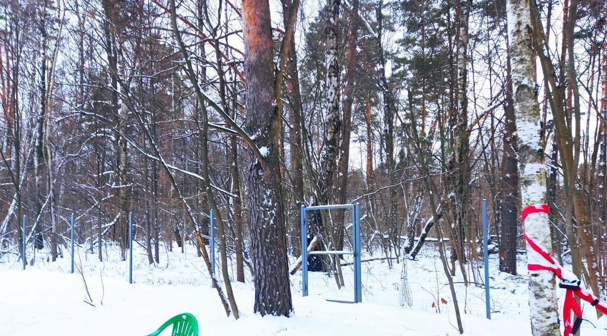 дом городской округ Ленинский д Большое Саврасово Домодедовская, 25 фото 41