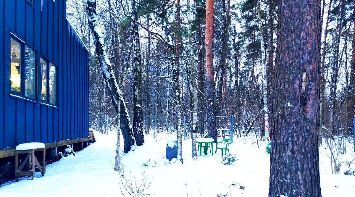 дом городской округ Ленинский д Большое Саврасово Домодедовская, 25 фото 42