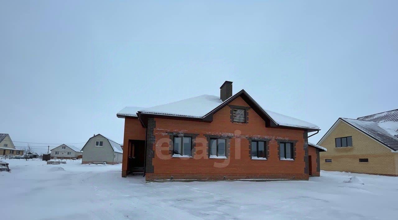 дом р-н Лямбирский с Александровка Александровское сельское поселение фото 6