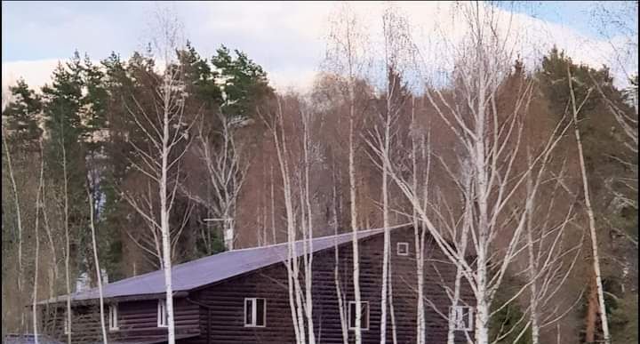 дом городской округ Ступино д Кубасово ул. Лесная, 1 фото 4