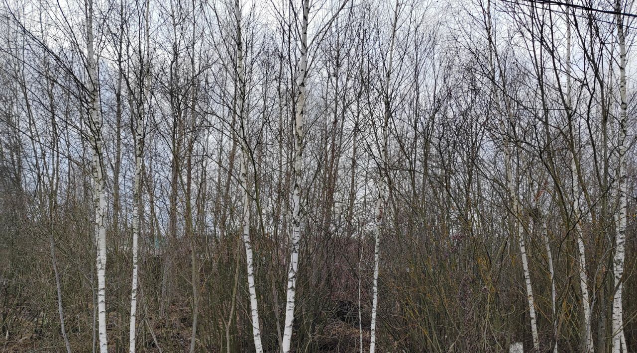 офис городской округ Чехов д Люторецкое фото 1