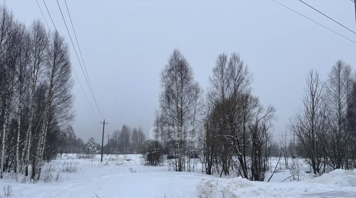 земля городской округ Клин с Петровское ул Тополиная фото 7