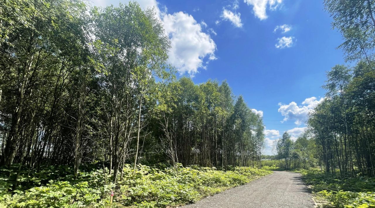 земля городской округ Солнечногорск д Новая фото 1