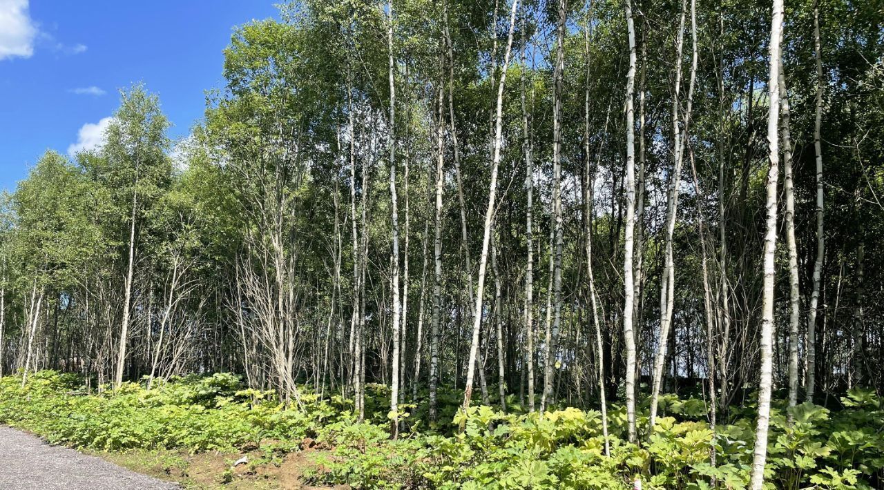 земля городской округ Солнечногорск д Новая фото 2