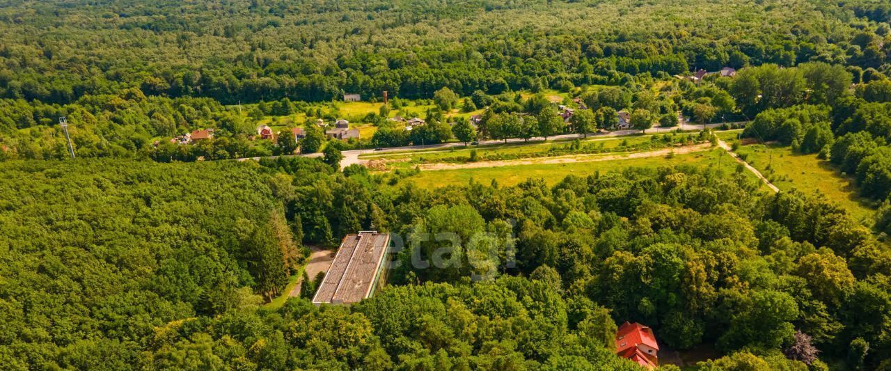 свободного назначения р-н Светлогорский п Лесное ул Лесная 5 Светлогорский городской округ фото 10