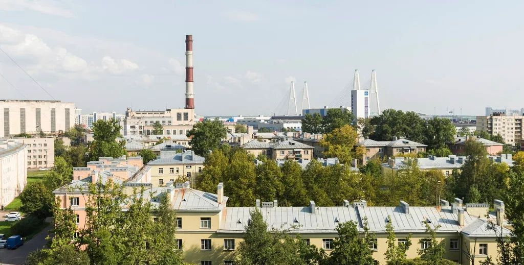 квартира г Санкт-Петербург метро Пролетарская пер 1-й Рабфаковский 3 фото 20