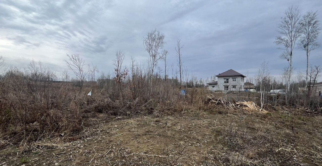 земля р-н Хабаровский с Сосновка Хабаровск фото 13