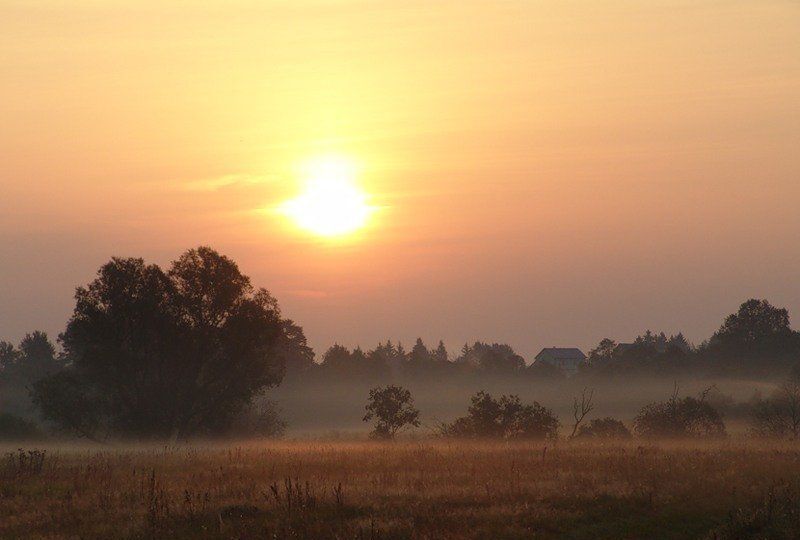 земля городской округ Можайский д Заречье 90 км, Можайск, Минское шоссе фото 4