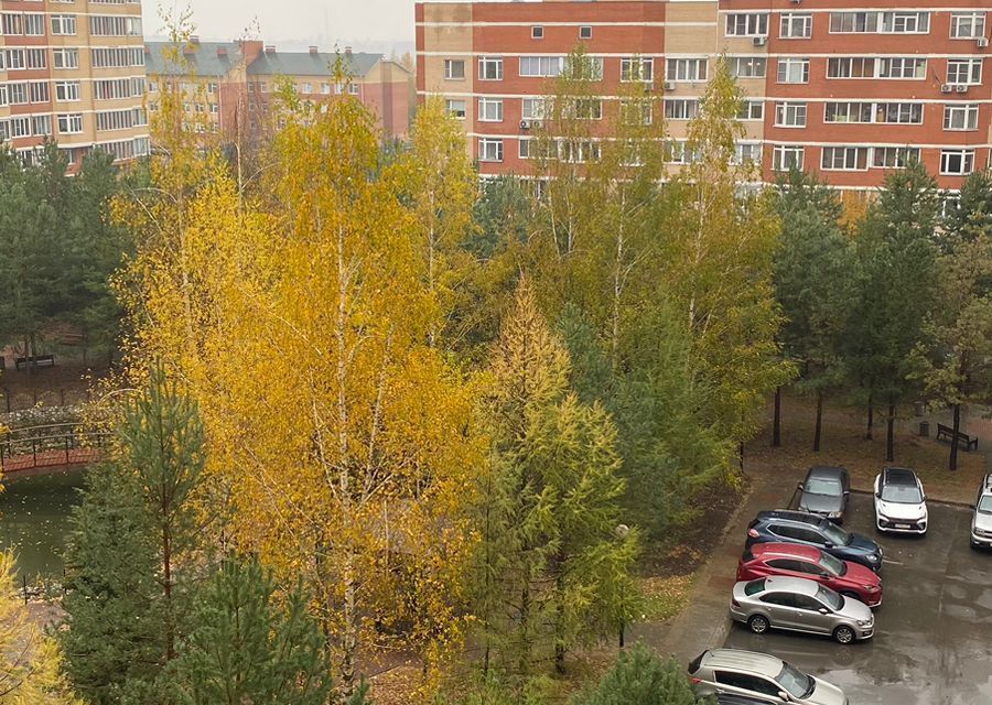 квартира г Москва п Рязановское п Знамя Октября Новомосковский административный округ, 2 фото 1