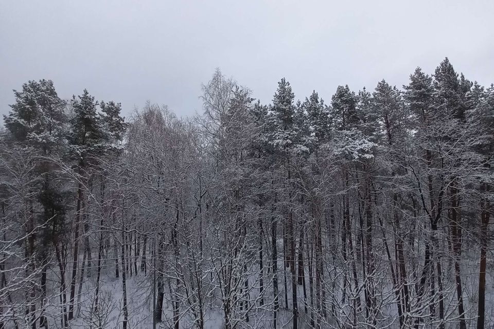 квартира г Воскресенск ул Победы 29 Воскресенск городской округ фото 6