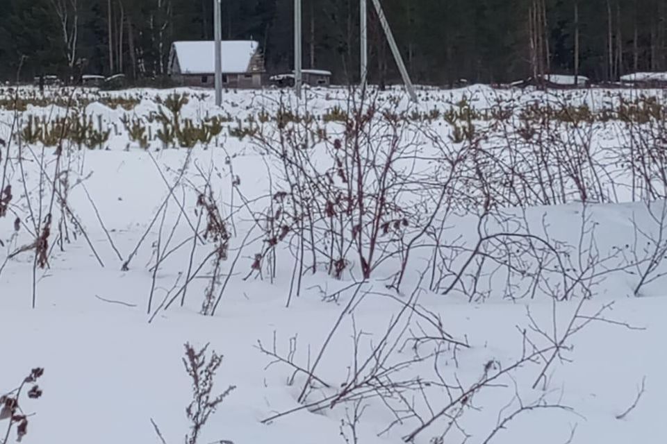 земля Кушвинский городской округ, Кушва фото 3