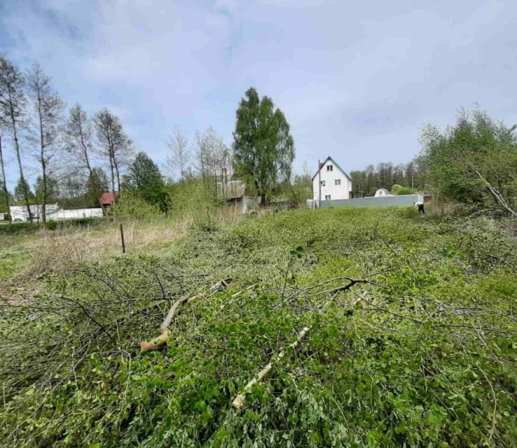 земля Светловский городской округ, СНТ Балтика-1 фото 3