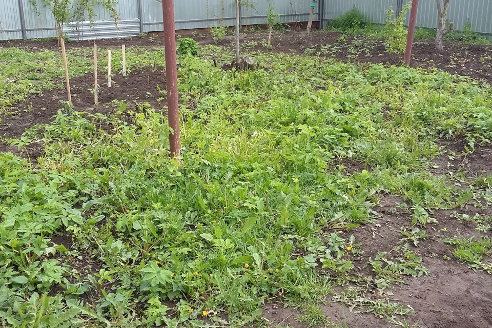 дом р-н Медведевский д Нолька Йошкар-Ола городской округ, Нолька, 22 фото 3