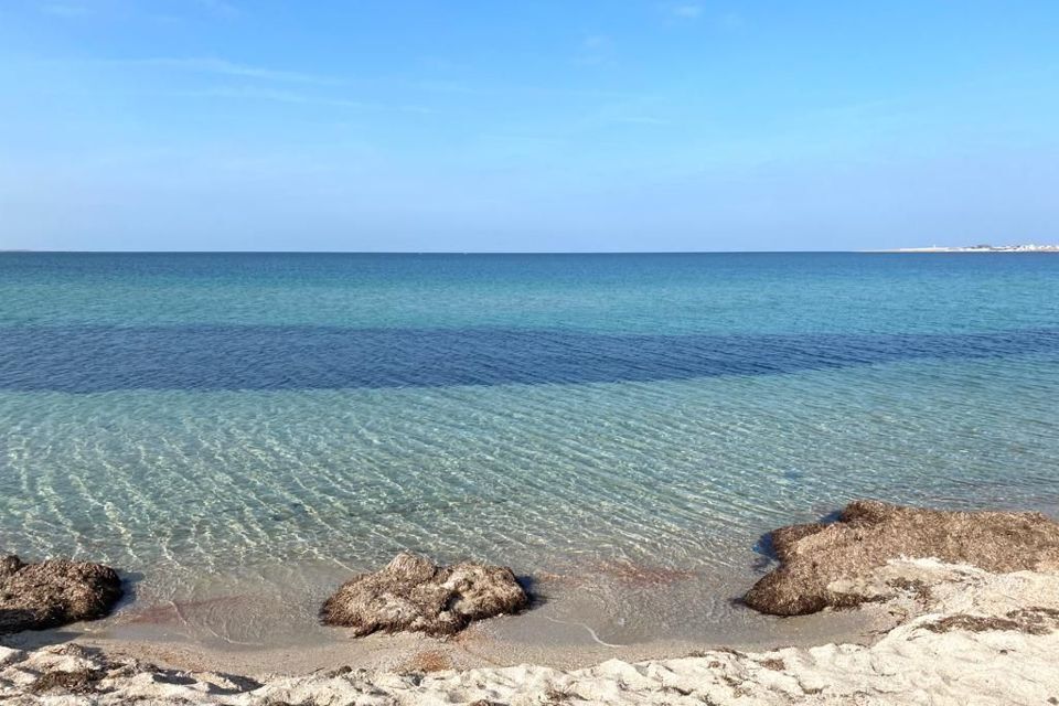 земля р-н Черноморский с Межводное ул Советская 2в фото 4