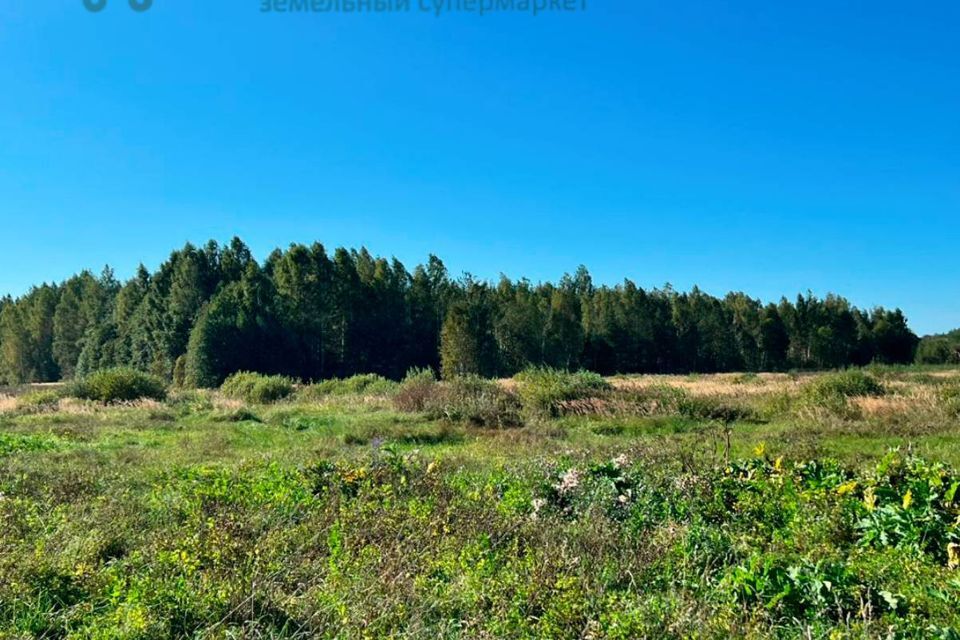 земля р-н Калининский село Каблуково фото 4