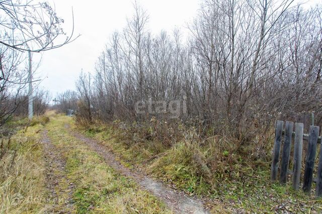 с/о Колос, Тобольск городской округ фото