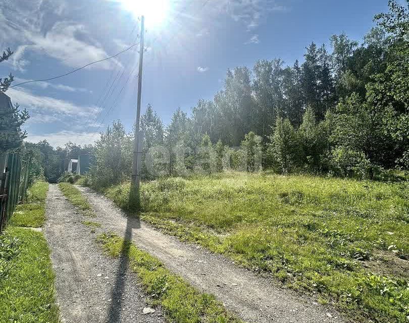 земля г Екатеринбург р-н Чкаловский Екатеринбург городской округ, СТ Лесная поляна 2 фото 4