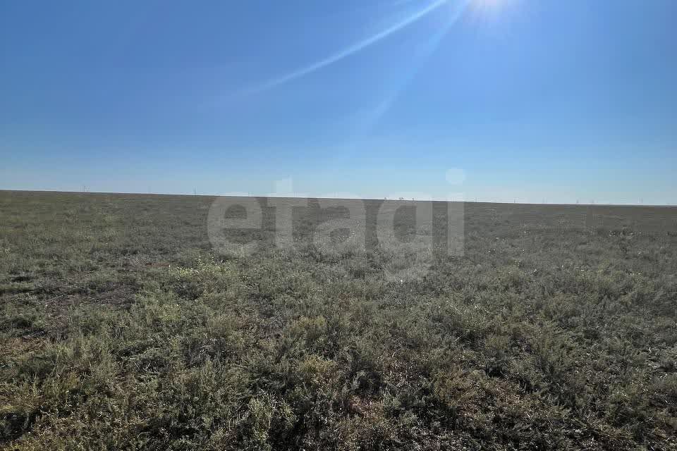 земля р-н Черноморский фото 3