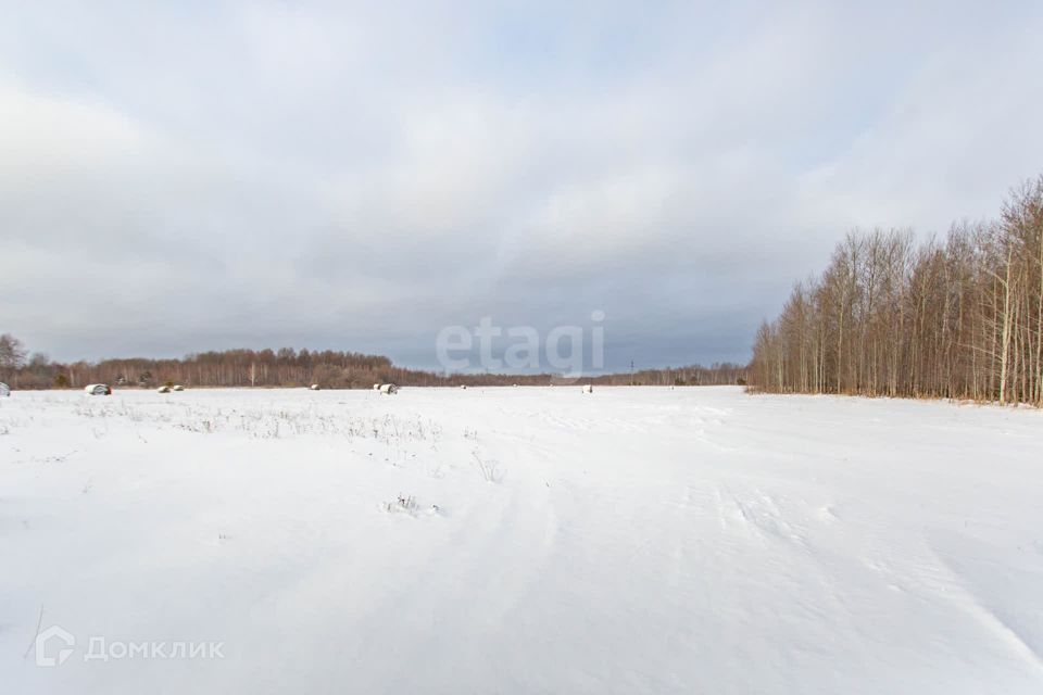 земля р-н Тобольский с Преображенка ул Новая 24 фото 2