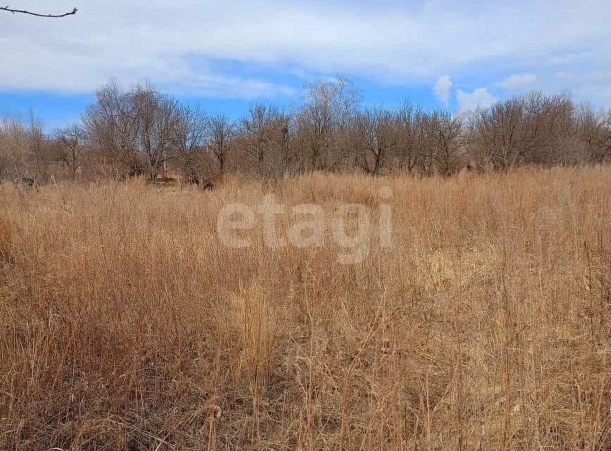 земля г Благовещенск фото 3