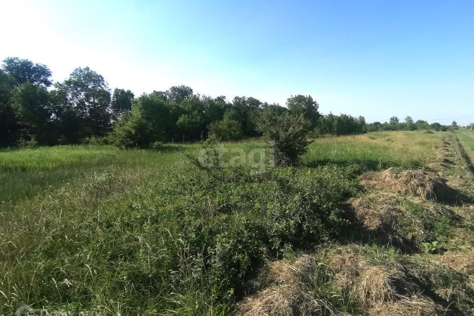 земля р-н Тимашевский г Тимашевск ул Центральная фото 1