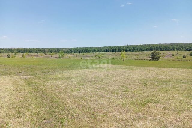 Северо-Восточный, Старооскольский городской округ фото