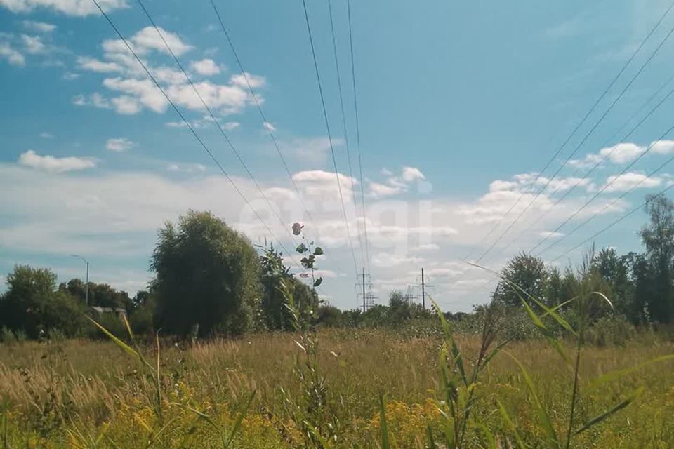 земля Калининград городской округ, СНТ Победа фото 3