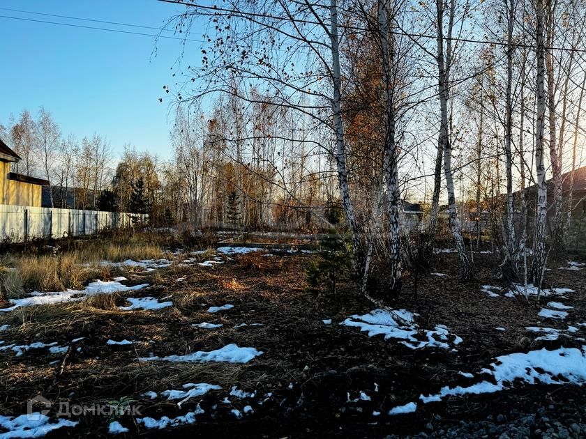 земля г Тюмень Тюмень городской округ, Водоём фото 4